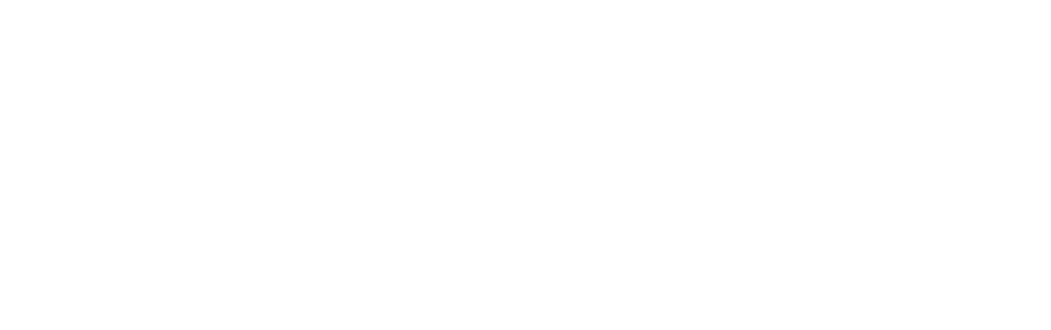 Conekty Parking Control