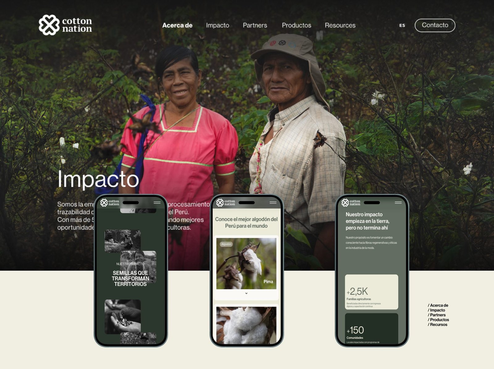 Cotton Nation &mdash; secci&oacute;n Impacto y versi&oacute;n m&oacute;vil